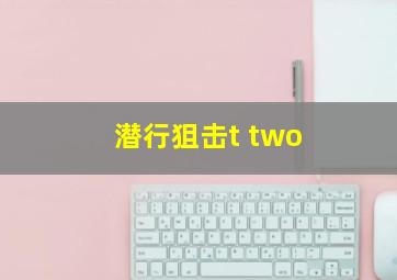 潜行狙击t two